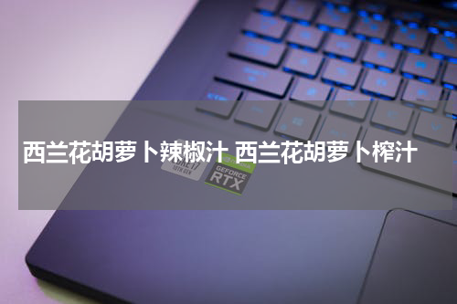 西兰花胡萝卜辣椒汁 西兰花胡萝卜榨汁
