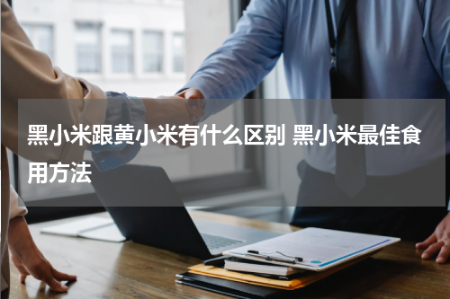 黑小米跟黄小米有什么区别 黑小米最佳食用方法