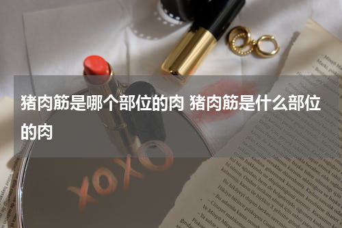 猪肉筋是哪个部位的肉 猪肉筋是什么部位的肉