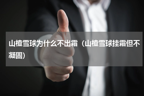 山楂雪球为什么不出霜（山楂雪球挂霜但不凝固）