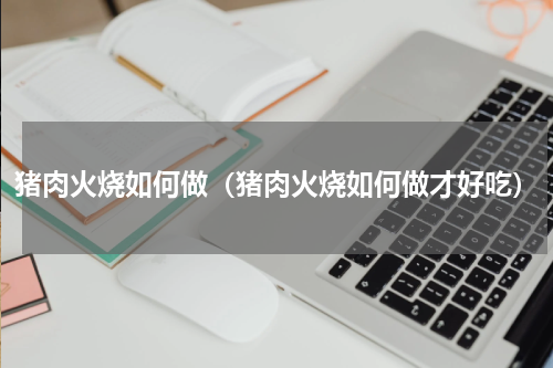 猪肉火烧如何做（猪肉火烧如何做才好吃）