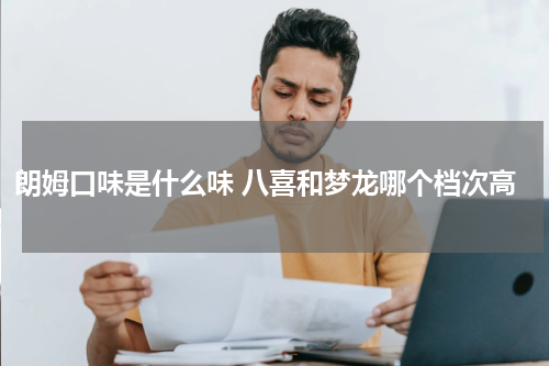 朗姆口味是什么味 八喜和梦龙哪个档次高