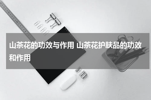 山茶花的功效与作用 山茶花护肤品的功效和作用