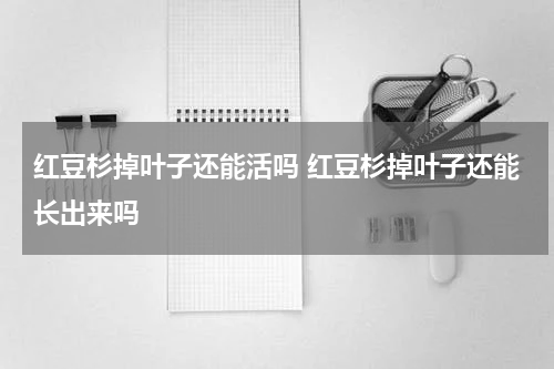 红豆杉掉叶子还能活吗 红豆杉掉叶子还能长出来吗