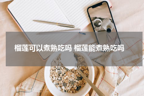 榴莲可以煮熟吃吗 榴莲能煮熟吃吗