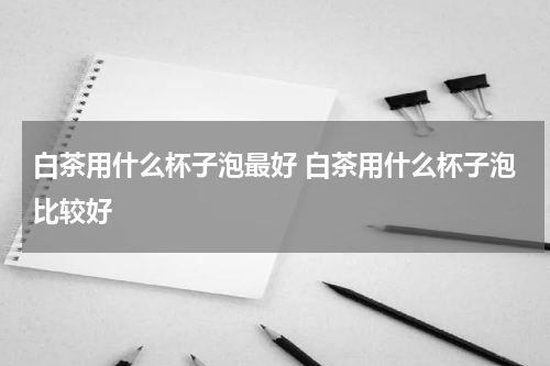 白茶用什么杯子泡最好 白茶用什么杯子泡比较好