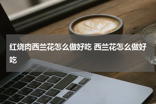 红烧肉西兰花怎么做好吃 西兰花怎么做好吃