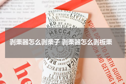 剥栗器怎么剥栗子 剥栗器怎么剥板栗