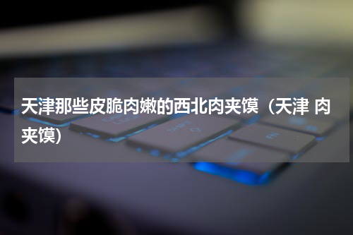 天津那些皮脆肉嫩的西北肉夹馍（天津 肉夹馍）