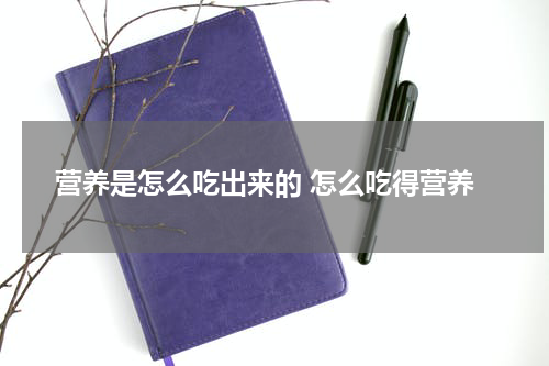 营养是怎么吃出来的 怎么吃得营养