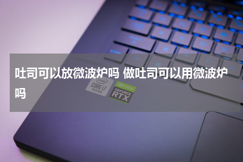 吐司可以放微波炉吗 做吐司可以用微波炉吗