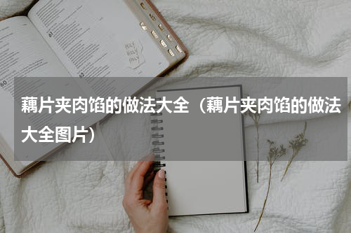 藕片夹肉馅的做法大全（藕片夹肉馅的做法大全图片）