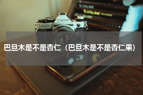 巴旦木是不是杏仁（巴旦木是不是杏仁果）