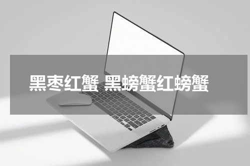 黑枣红蟹 黑螃蟹红螃蟹