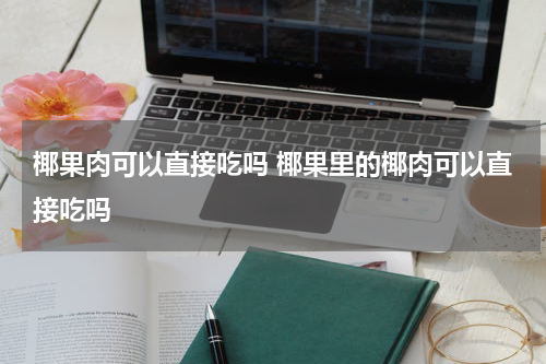 椰果肉可以直接吃吗 椰果里的椰肉可以直接吃吗