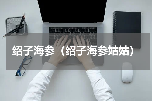 绍子海参（绍子海参姑姑）