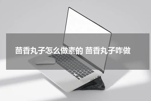 茴香丸子怎么做素的 茴香丸子咋做